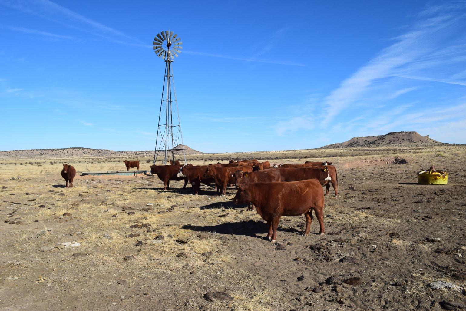 Johnny's Ranch Johnny Valley Ranch - Rocky Mountain Ranch Land